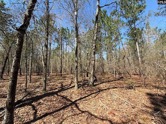 3rd image of Bhl 13 Boise Cascade Rd #Bhl-13