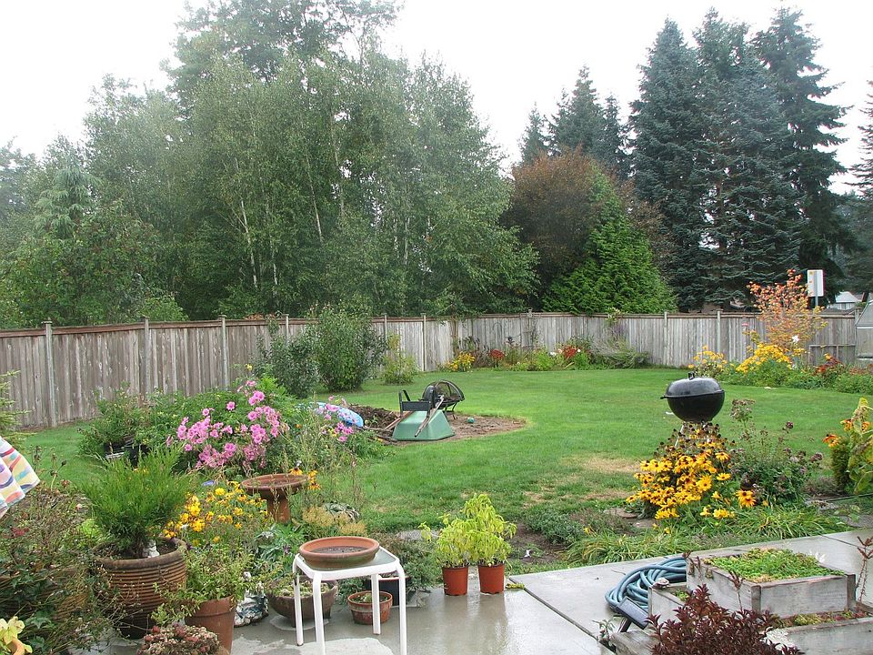 Patio back yard view