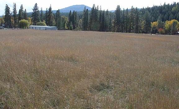 4th image of Nkn Piney Meadows Ln