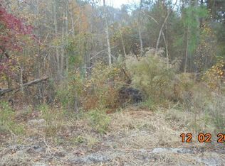 3530 River Rd, Nichols, SC 29581