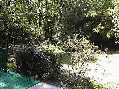 Private back yard
