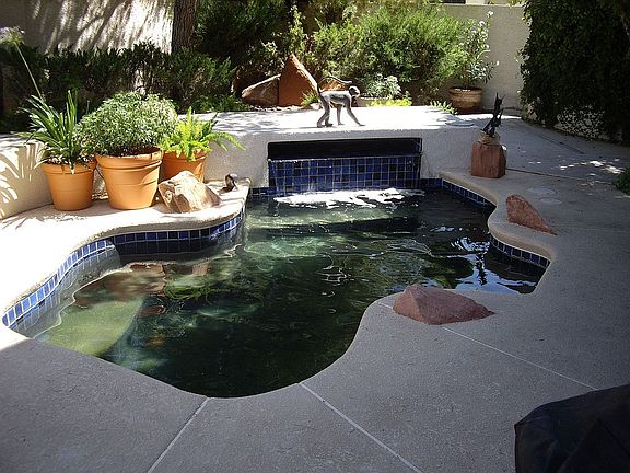 Swimspa/Deck