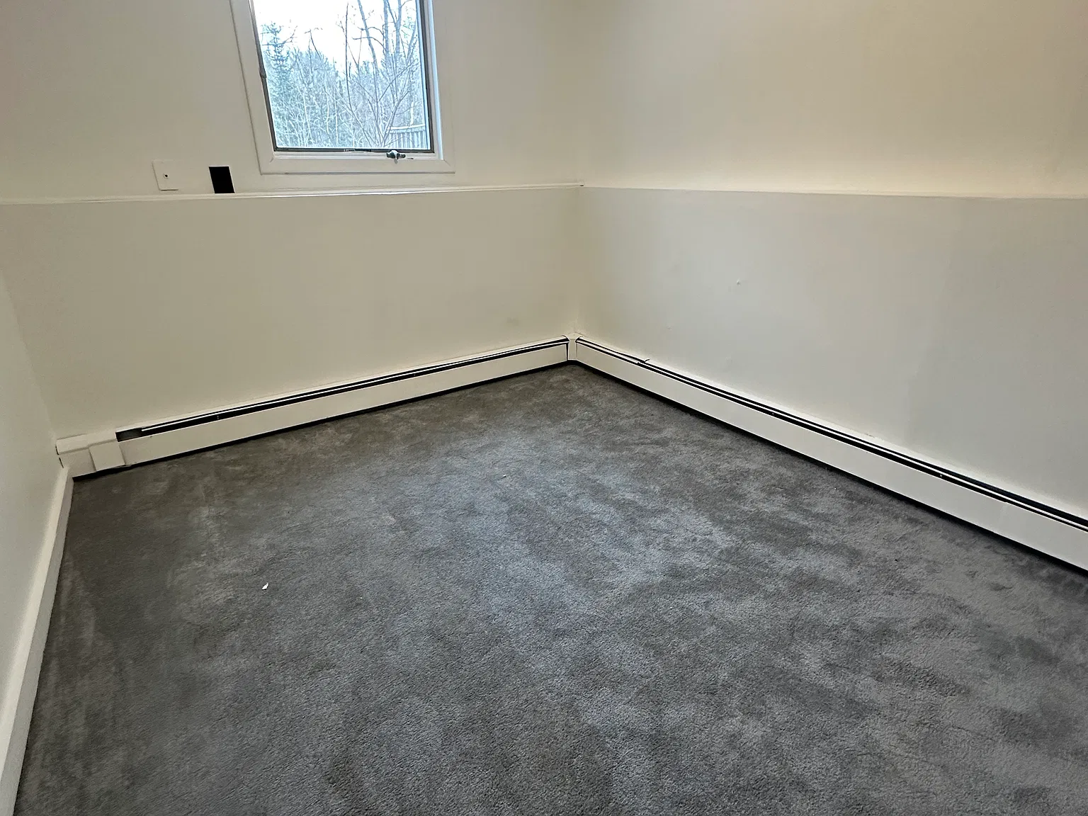1 bed, 600 sqft, $1,250 — Photo 4