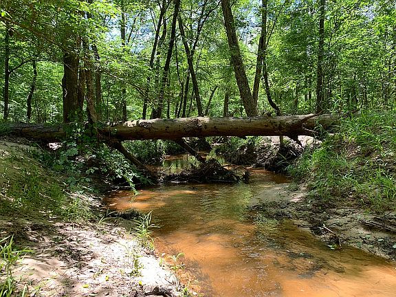 3rd image of 753 County Road 1190