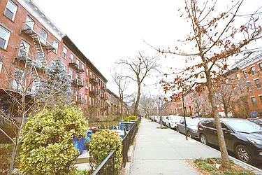 Rented by Bold New York