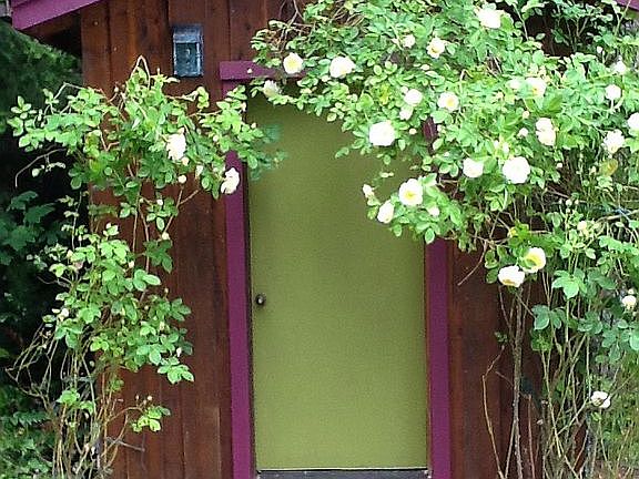 Garden shed