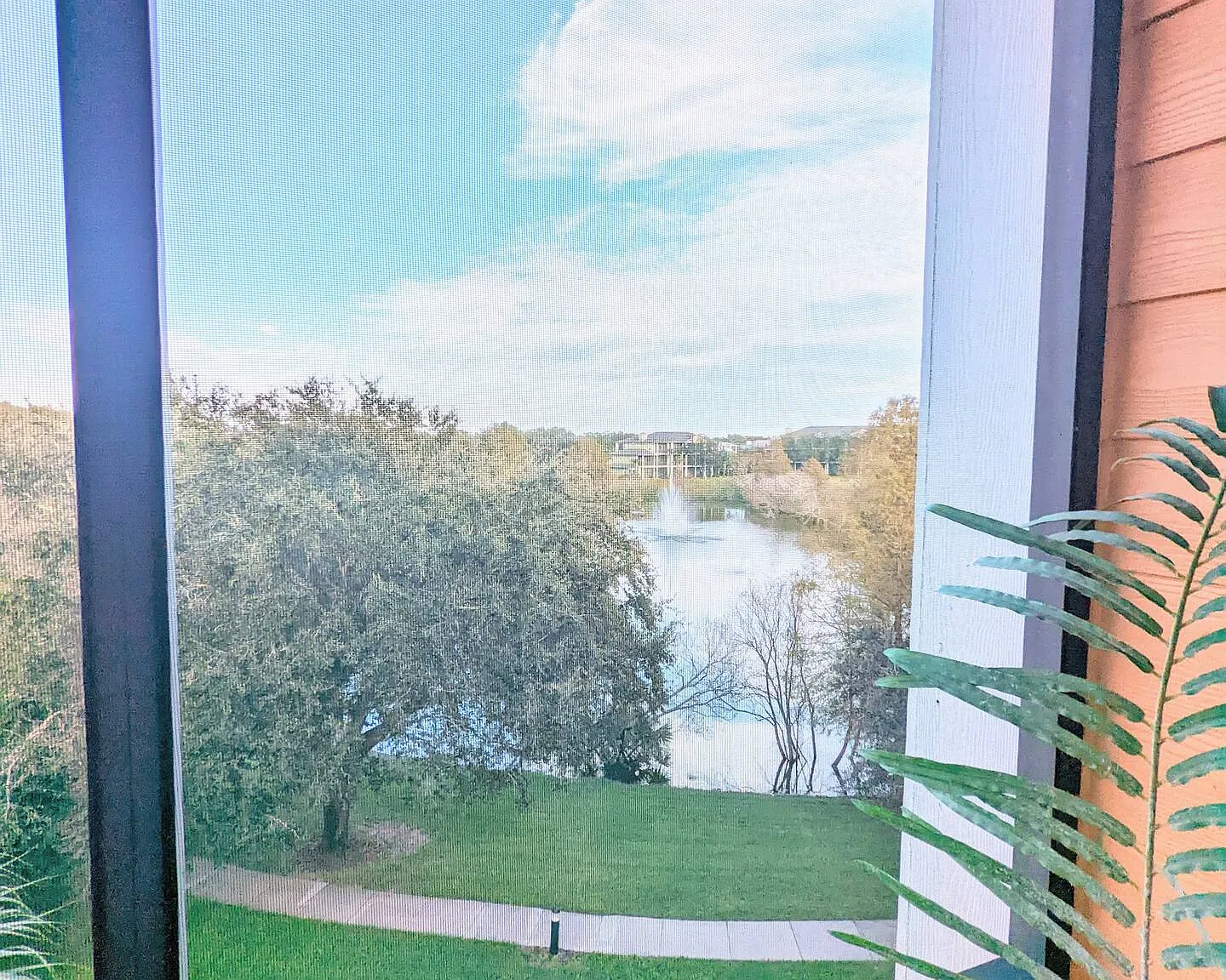 3 bed, $4,500 — Photo 3