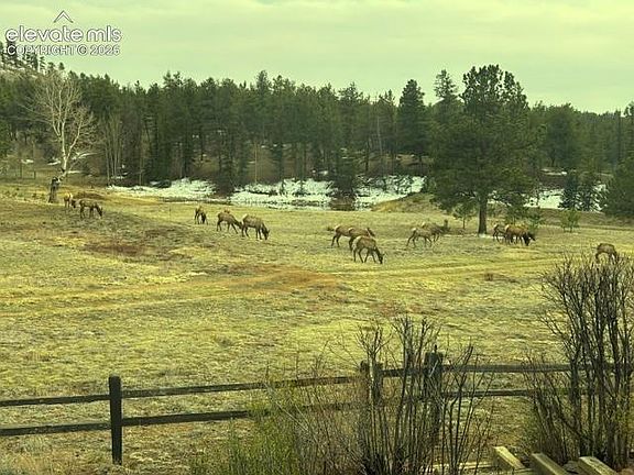3rd image of 146 Toms Ranch Rd
