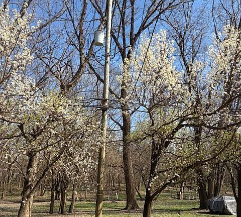 3rd image of 126 Riverside Dr