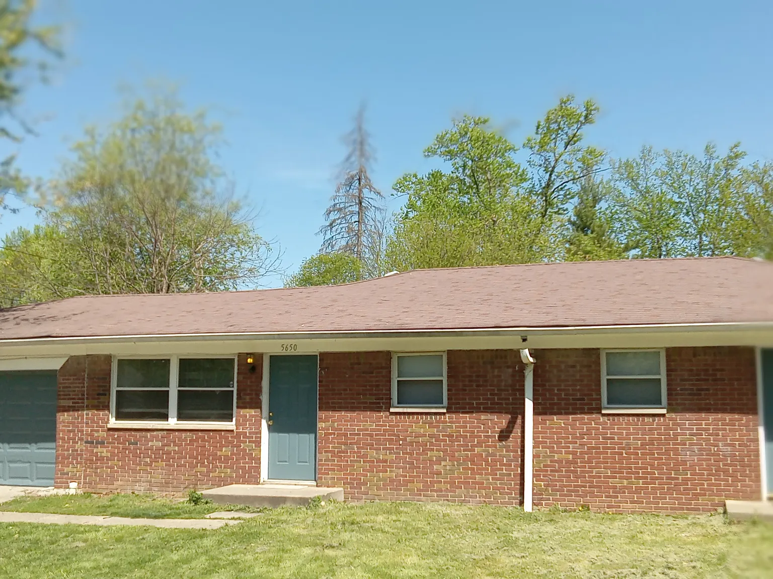 3 bed, 900 sqft, $1,500 — Photo 1