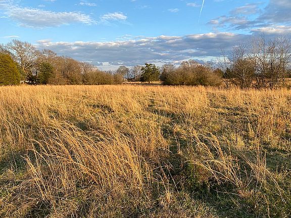 2nd image of 4725 County Road 585