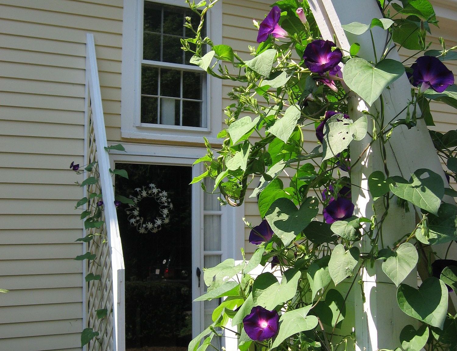 17 Argilla Rd APT 5, Ipswich, MA 01938 Zillow