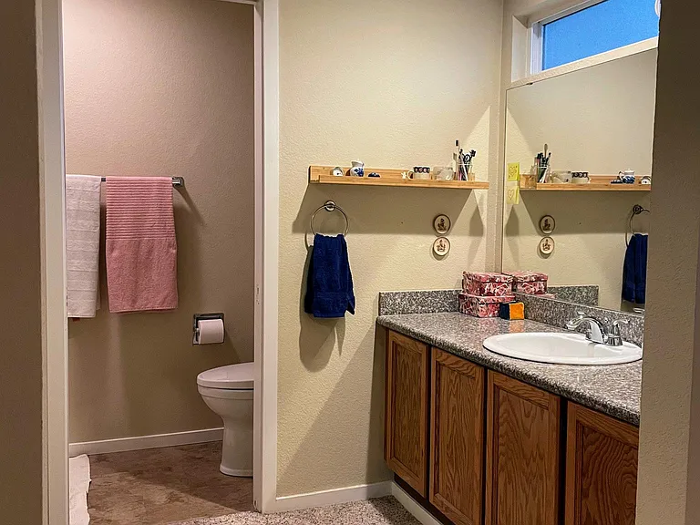 primary vanity into shower room