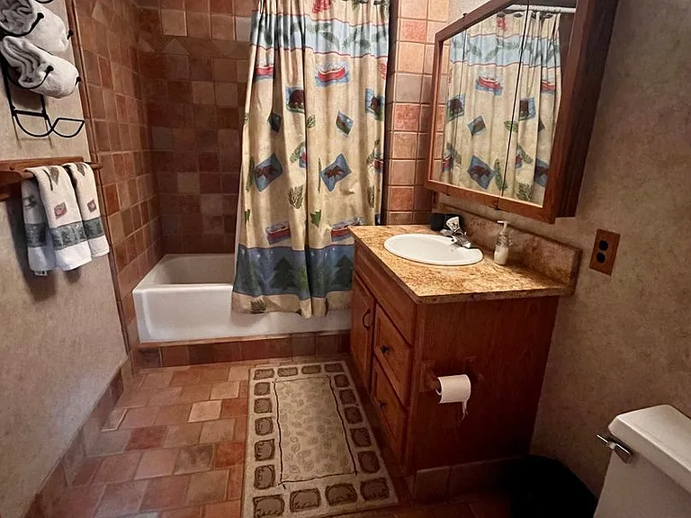 17601 Timberline Creek Dr — Photo 27