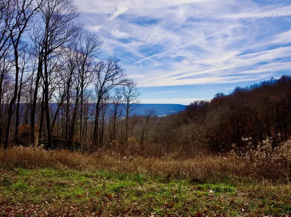 36AC White Oak Flatt Rd, Sparta, TN 38583