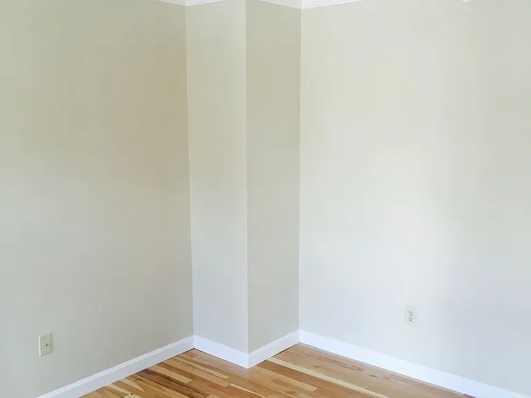 4-8A Nelson St — Photo 5