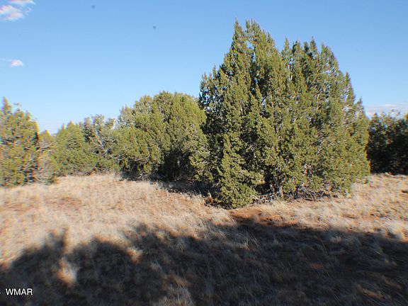 3rd image of 2020 Silver Creek Dr