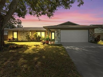 5816 Silver Moon Ave, Tampa, FL, 33625