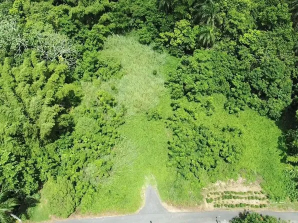 Bo Cuchilla Sect Sabana, Moca, PR 00676