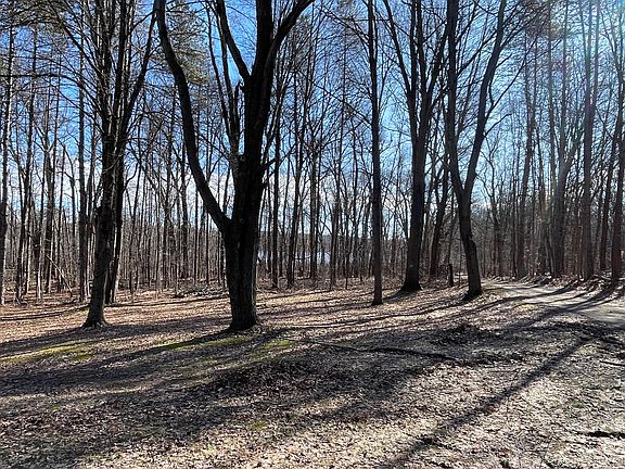 2nd image of 11969 Strait Rd