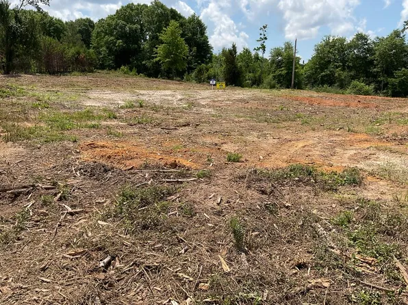 3475 Centenary Rd, Luverne, AL 36049