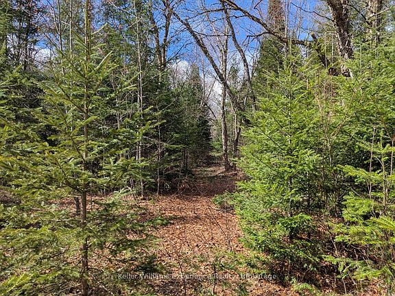 4th image of 1397 Echo Ridge Rd
