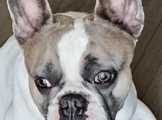 2994 SW 11th St, Miami, FL 33135