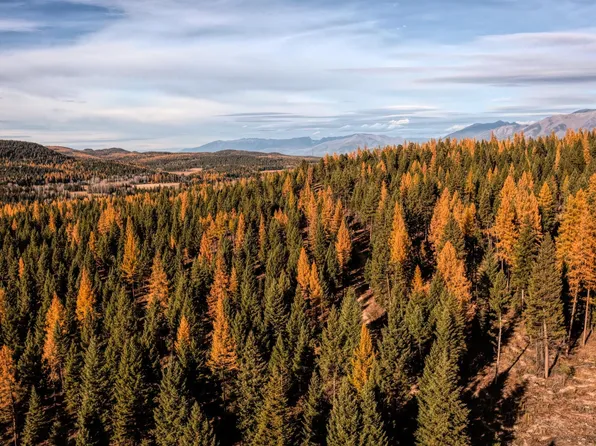 Nhn Sunday Mountain Rd, Trego, MT 59934