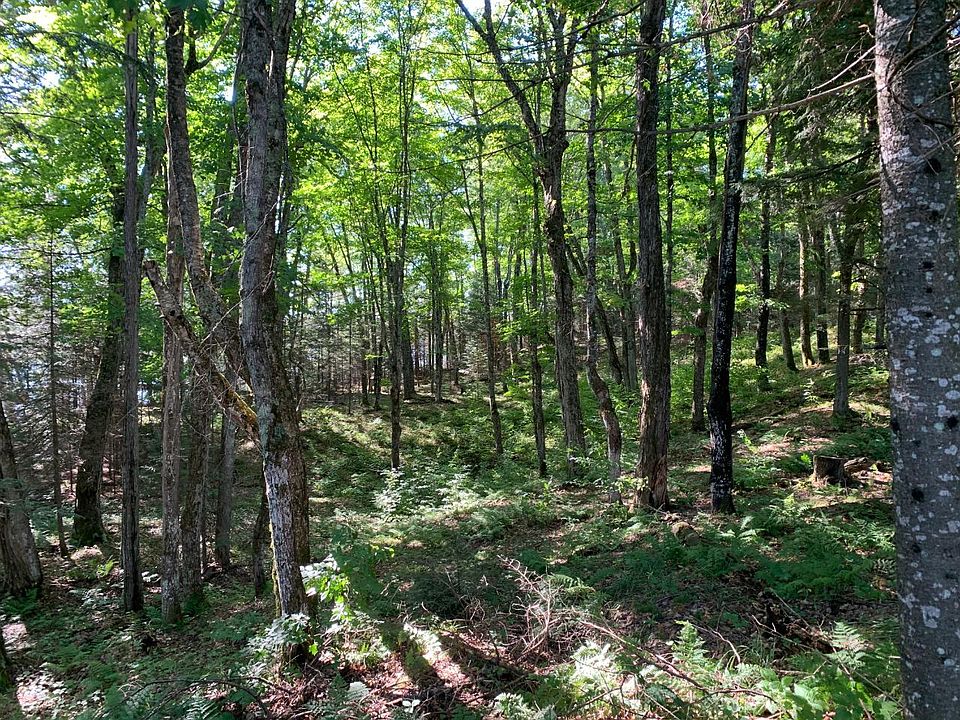 Knuth Ln LOT 4, Land O Lakes, WI 54540 MLS 201785 Zillow