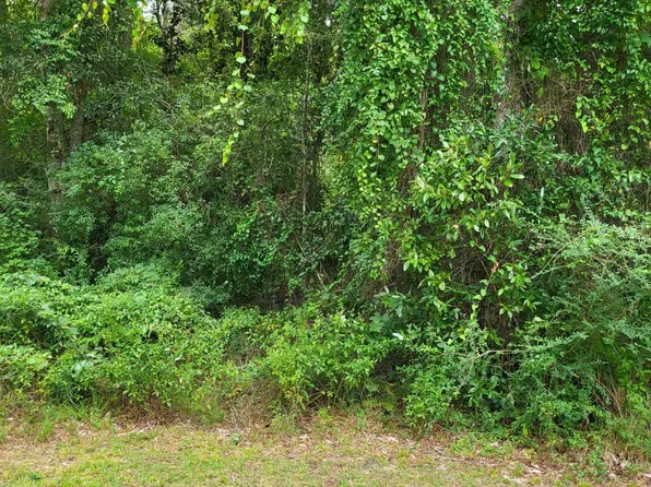 70 Lakeside Dr, Carriere, MS 39426