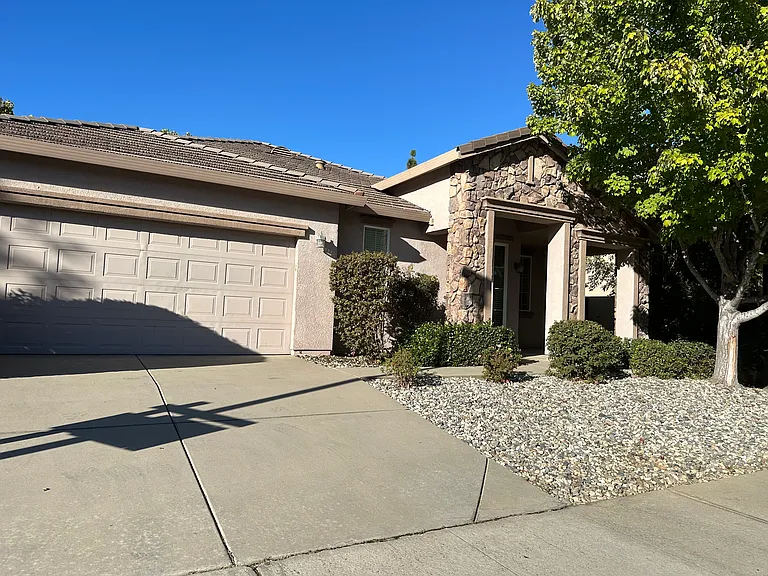10037 Wild Orchid Way — Photo 38