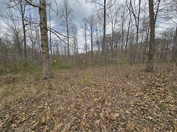 4th image of 380B Brinson Pl