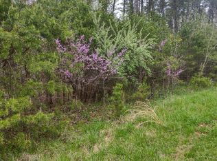 0 Lakewood Forest Rd LOT 21, Moneta, VA 24121
