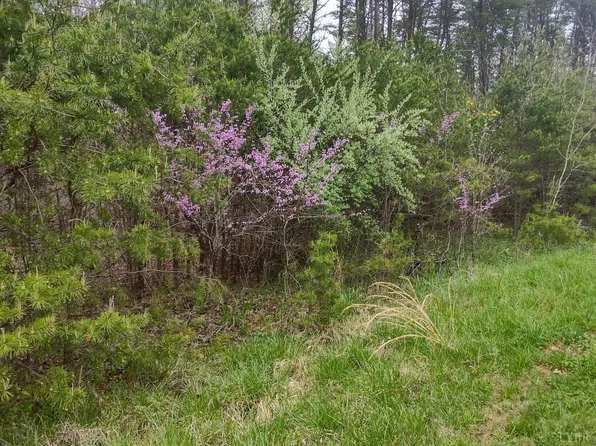 0 Lakewood Forest Rd Lot 21, Moneta, VA 24121