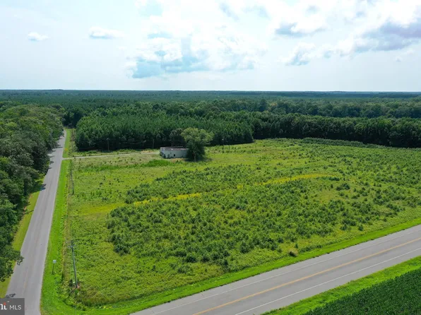1637 Dun Swamp Rd, Pocomoke City, MD 21851