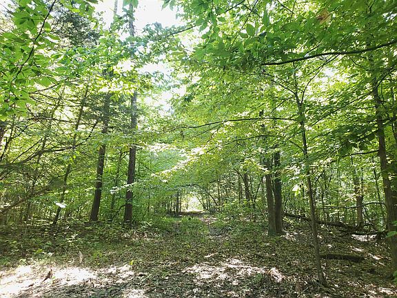 4th image of 0 Bowers Rd