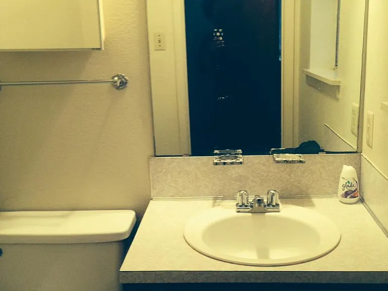 4847 Camellia Ln — Photo 8