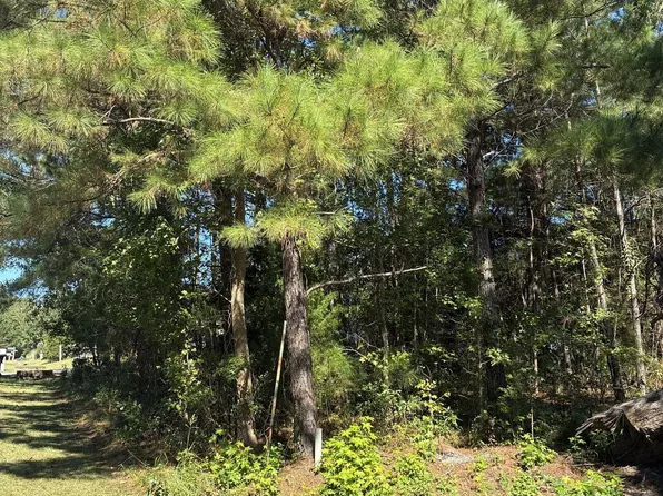 1275 Skipper Run Drive SW LOT L-20, Supply, NC 28462