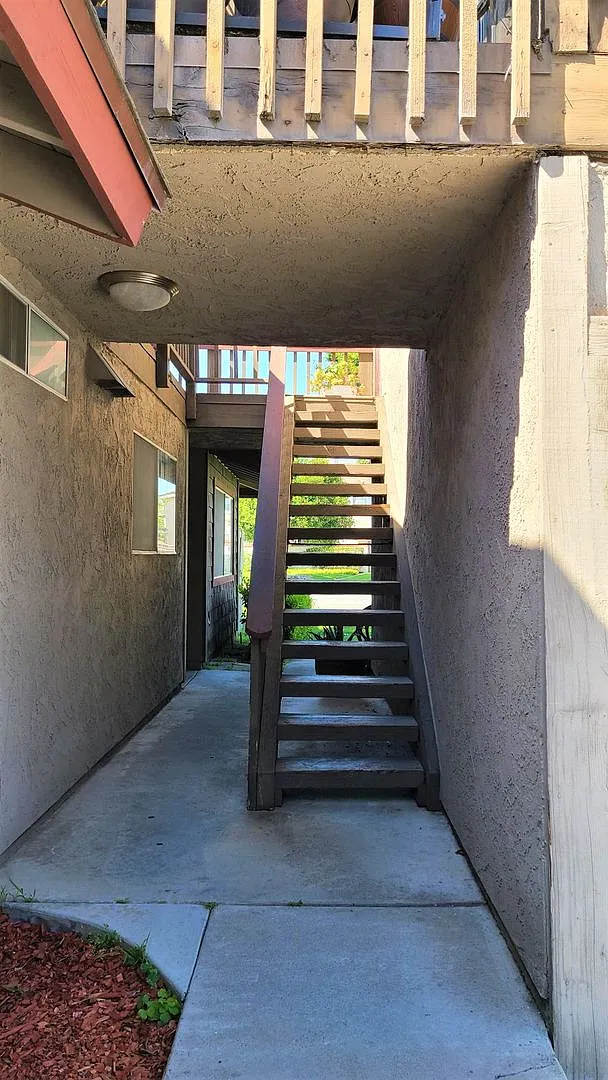 cmj3049 — Photo 3