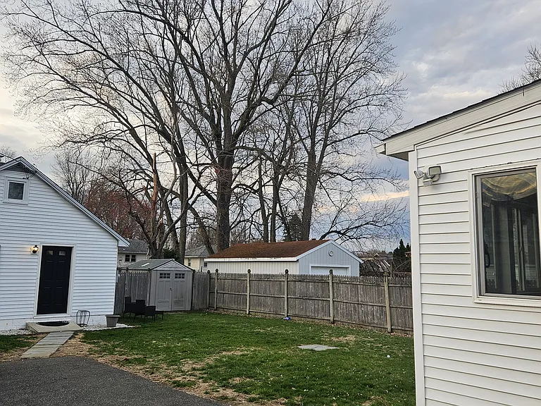 Backyard view