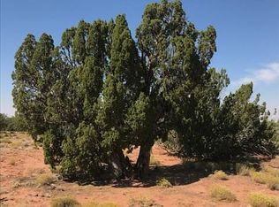 34561 Highway 180, Concho, AZ 85924