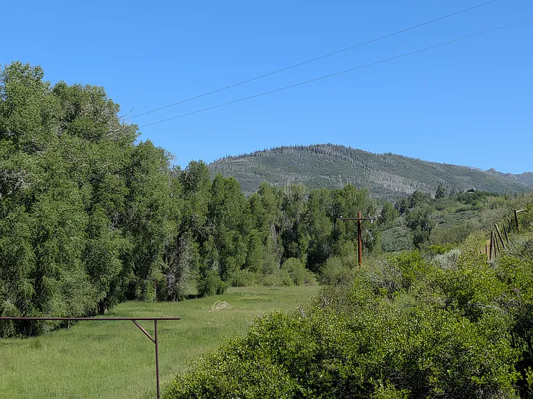 View from unit
