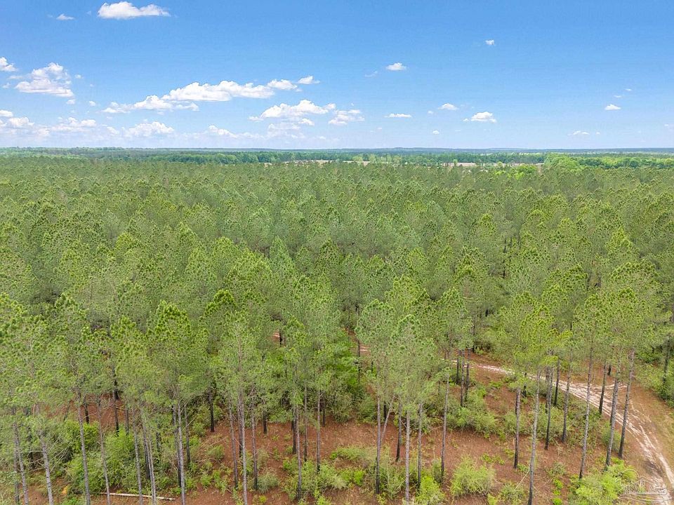 2nd image of LOT 6 Mineral Springs Rd