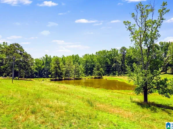 0 County Road 10 #X, Ranburne, AL 36273