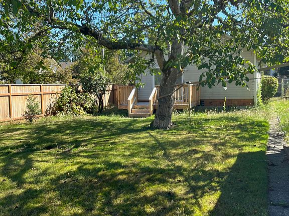 Rear Yard