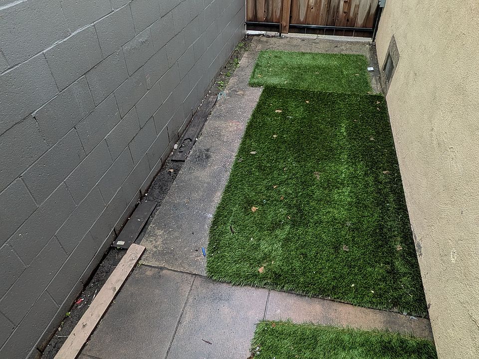 Backyard/Storage