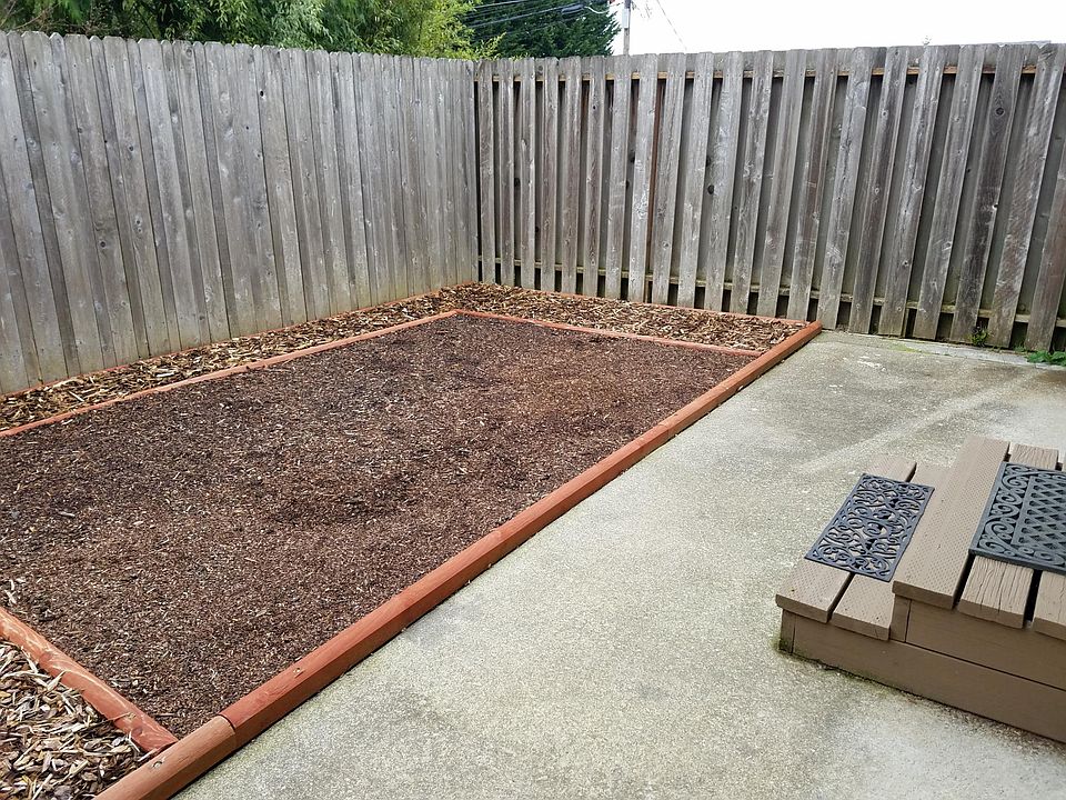 Fenced Backyard 