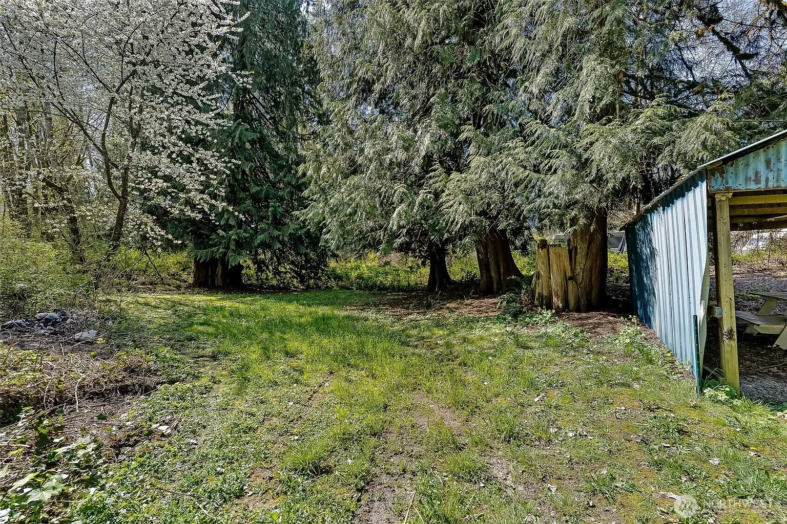7428 Spruce Street photo 1