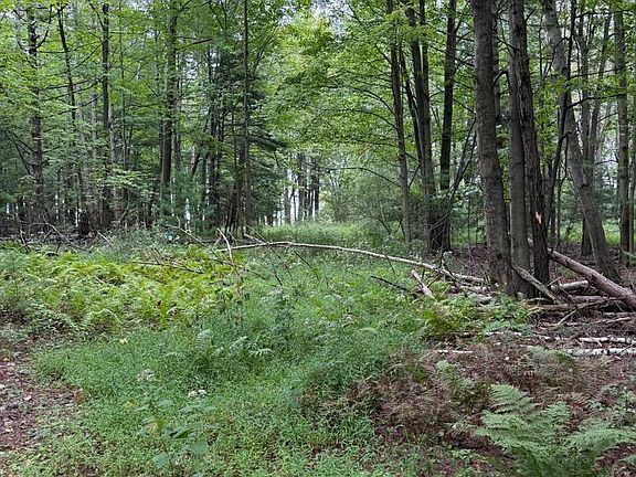 4th image of 0 Old Orchard Ln