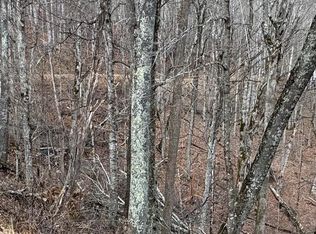 0 Spring Brook Dr #314, Mars Hill, NC 28754